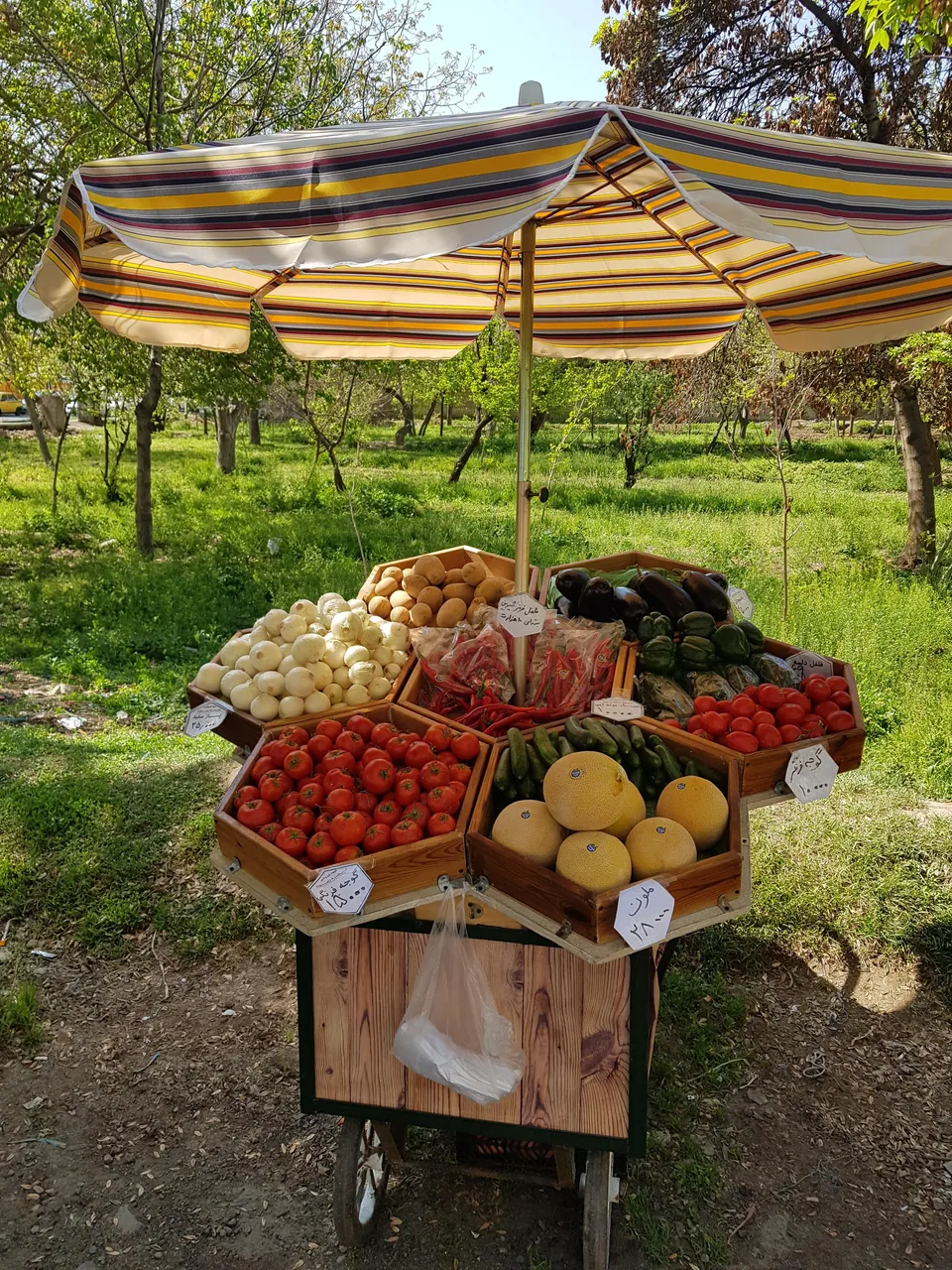 میوه فروشی لانه زنبوری - تصویر 2