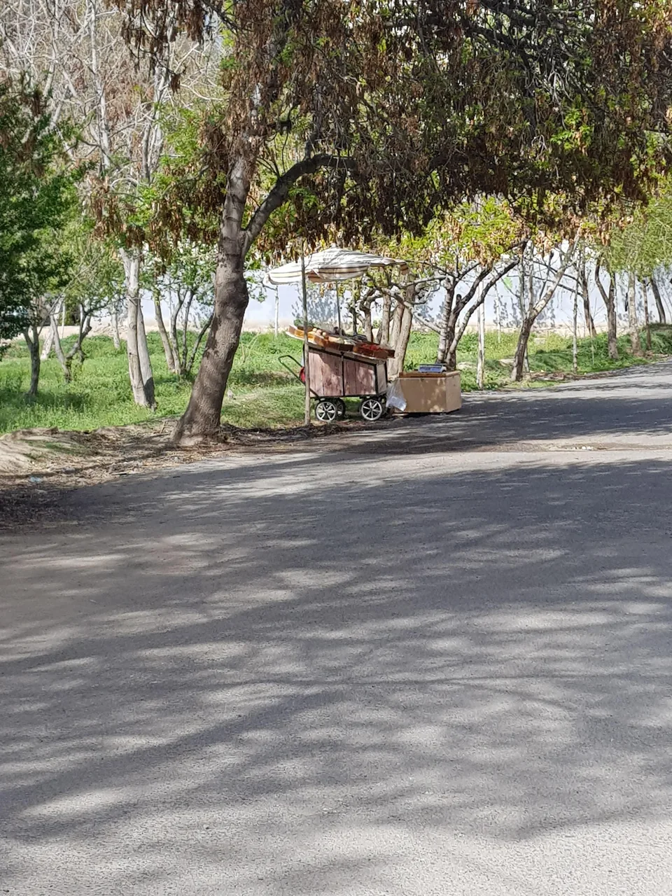 میوه فروشی لانه زنبوری - تصویر 5