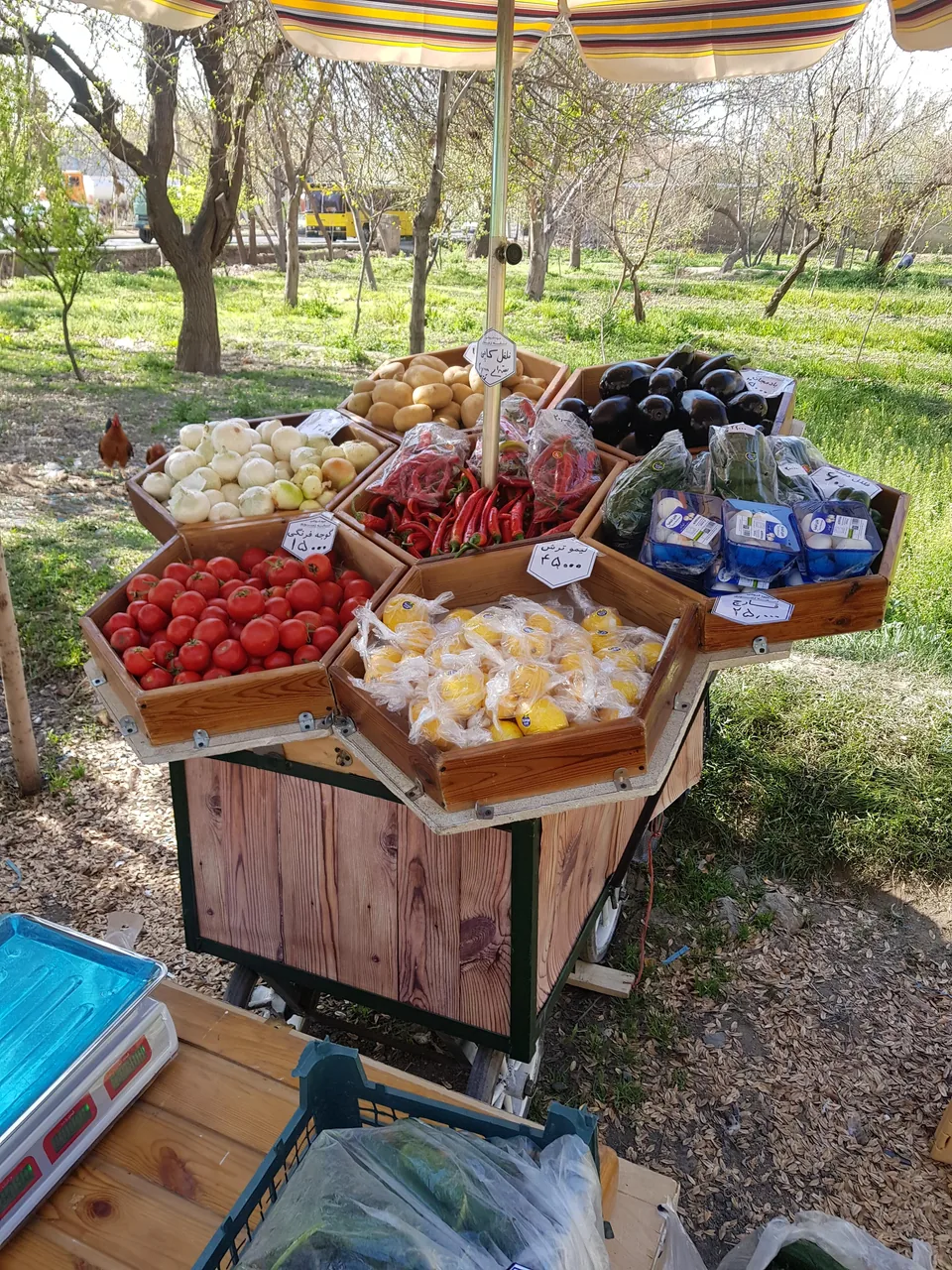 میوه فروشی لانه زنبوری - تصویر 6