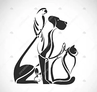 کلینیک دامپزشکی ماوی شیراز
