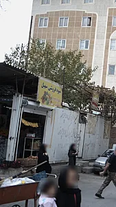 میوه فروشی سهیل