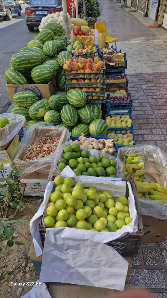 سوپر میوه مرتضی
