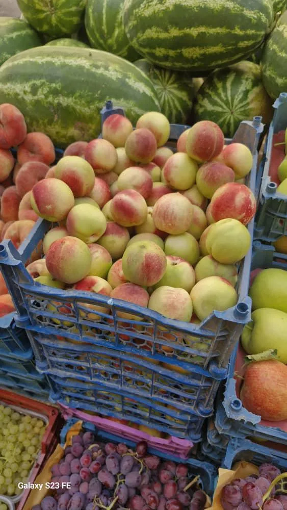 سوپر میوه مرتضی - تصویر 2
