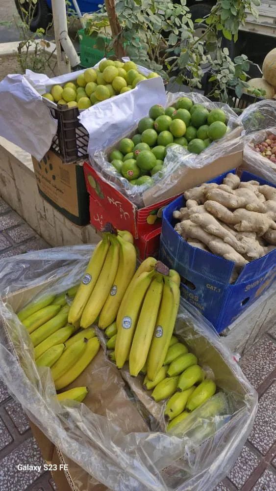 سوپر میوه مرتضی - تصویر 5