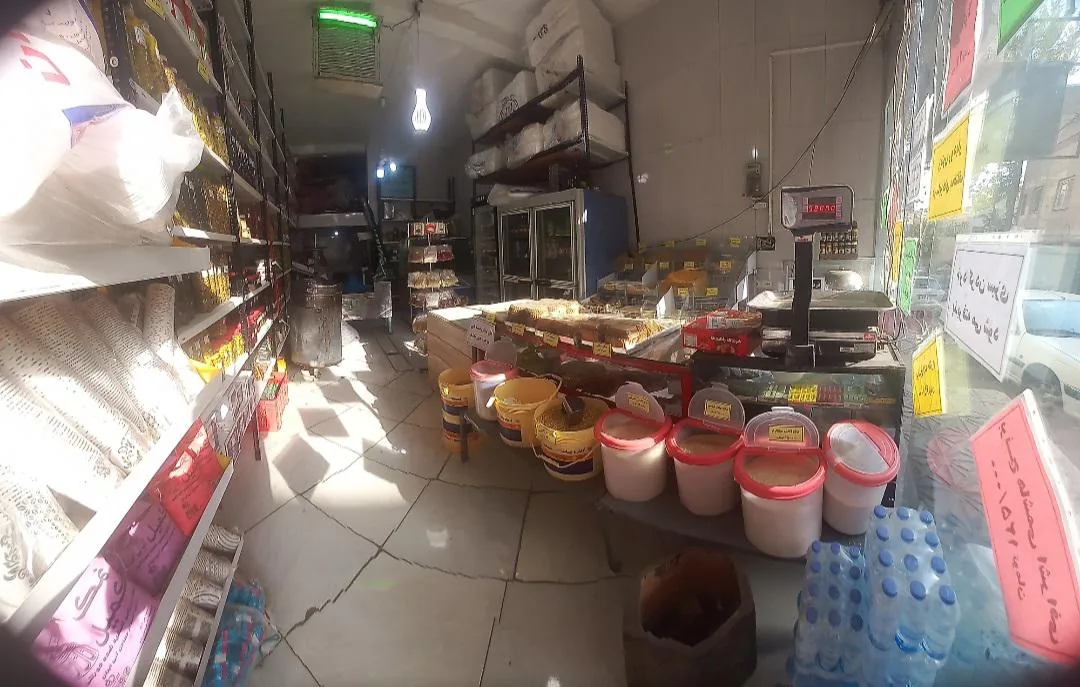 سبزینه ایلیا(انواع سبزیجات و خشکبار) - تصویر 2