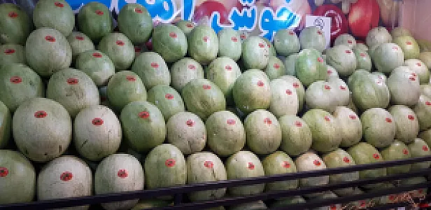 سوپر میوه گلچین