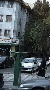 سبزیجات آماده طبخ ساقه