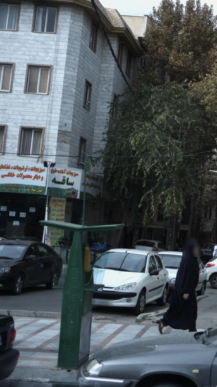 سبزیجات آماده طبخ ساقه