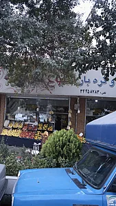 میوه وتره بار