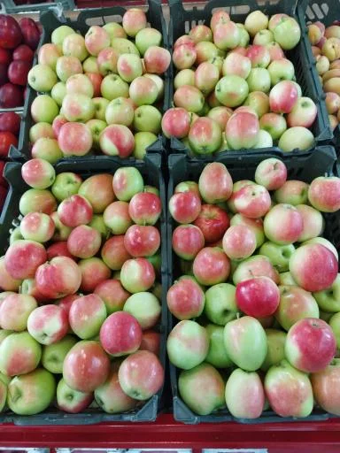 میوه و سبزی فرجاد