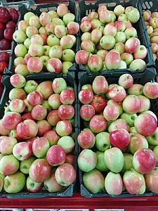 میوه و سبزی فرجاد