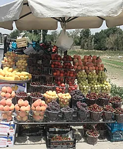 سوپر میوه امیر