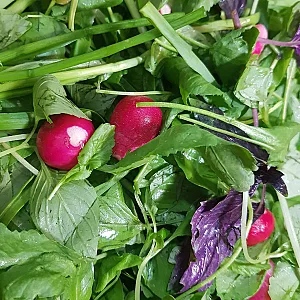 سبزیجات آماده گل یاس