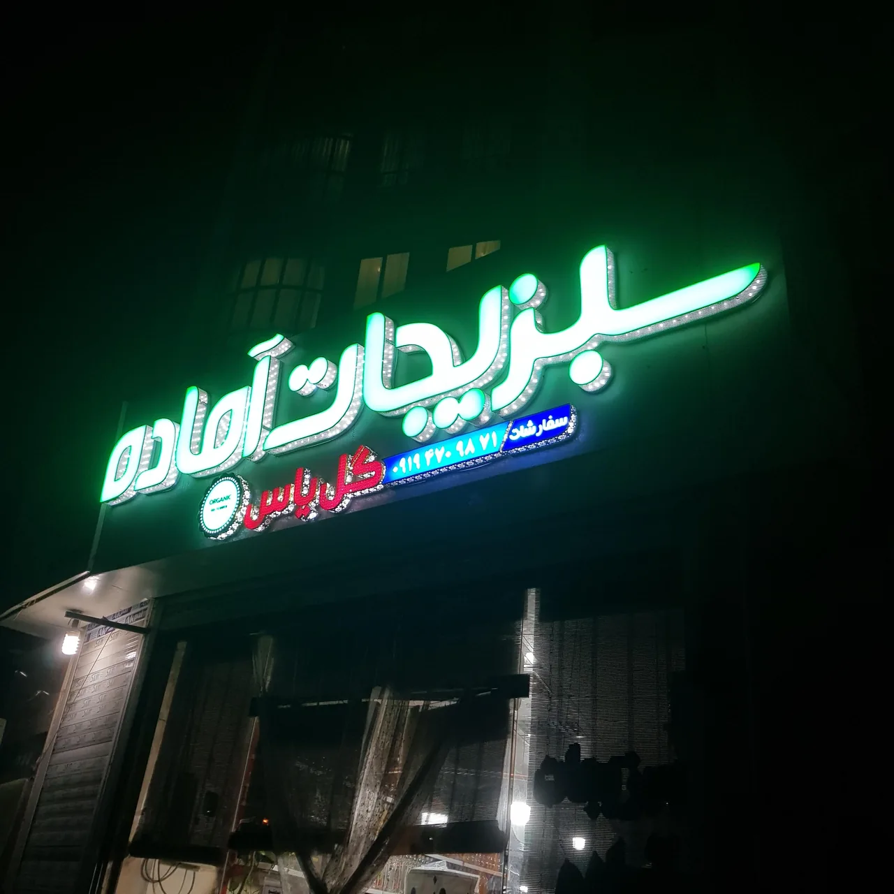 سبزیجات آماده گل یاس - تصویر 2