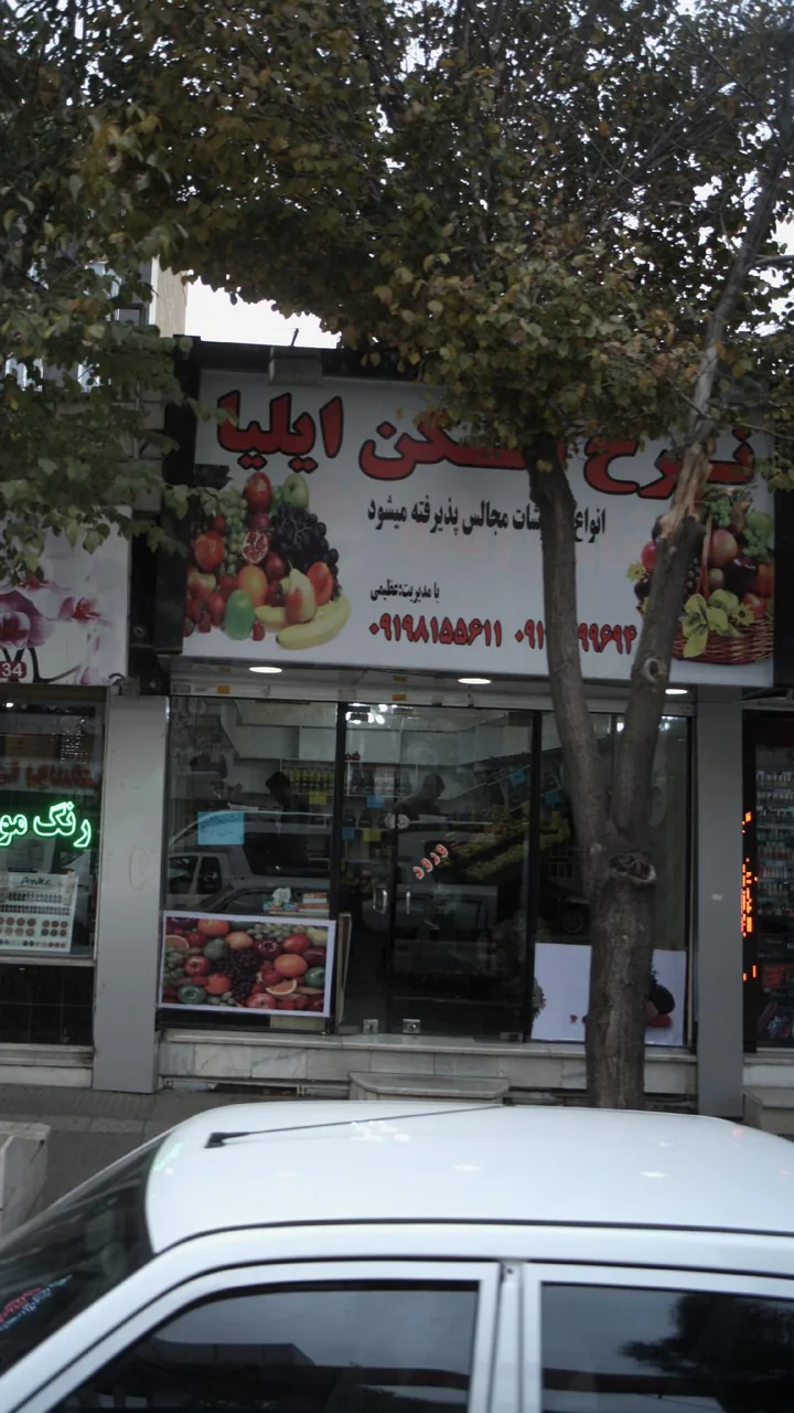 میوه فروشی ایلیا