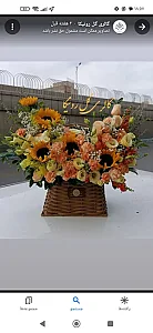 گلفروشی گل شب بو