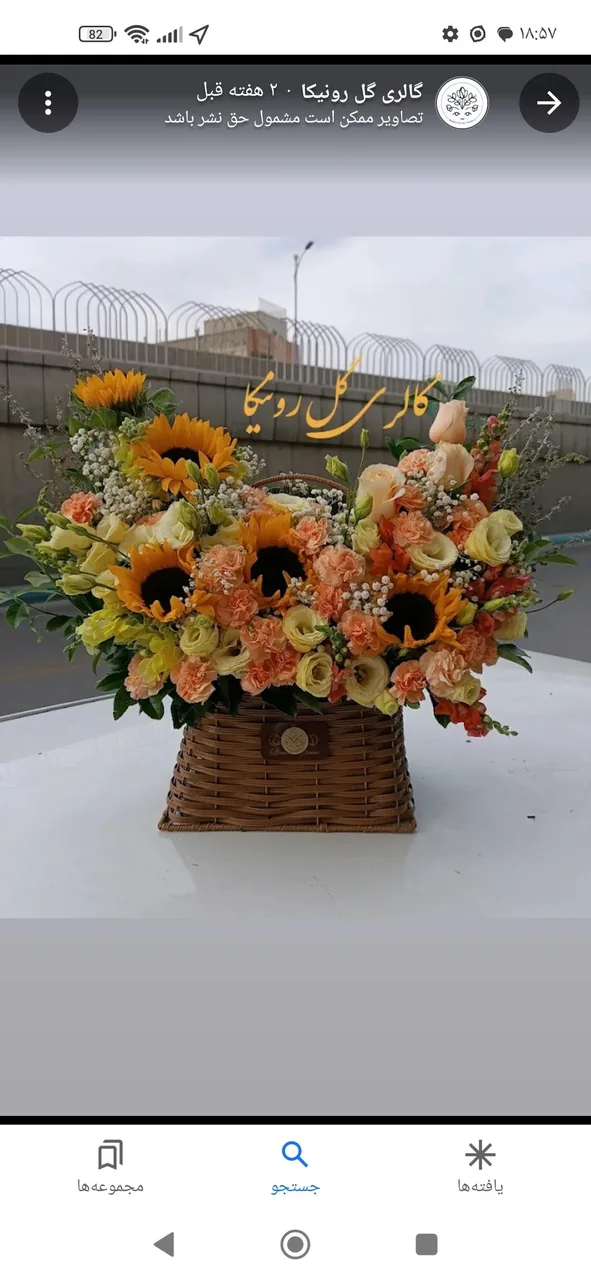 گلفروشی گل شب بو