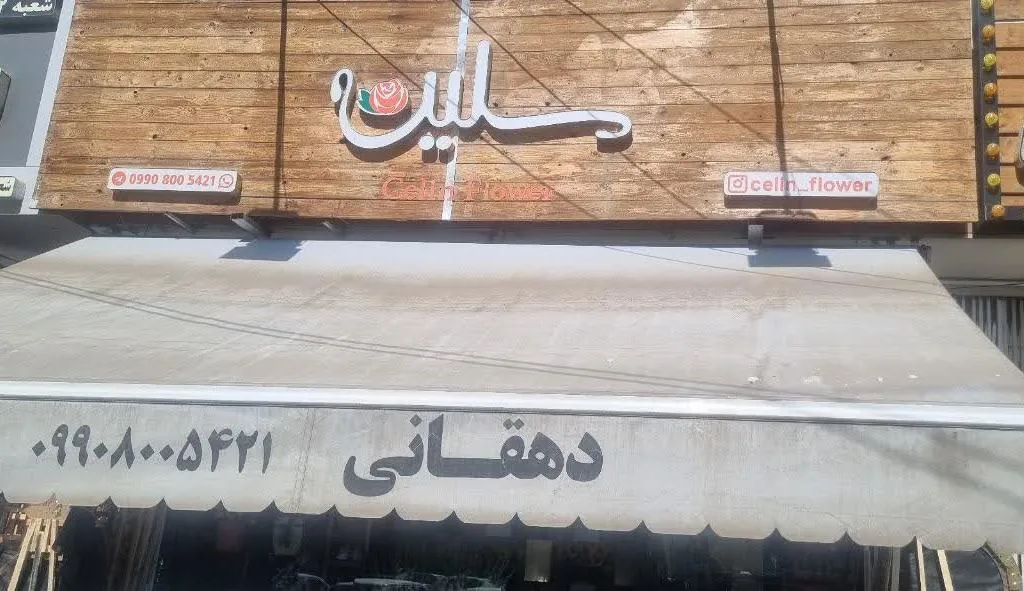 گل سلین - تصویر 3