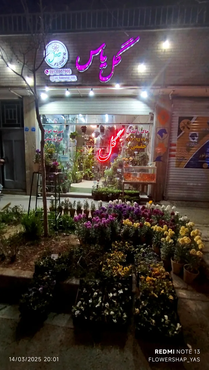 گلفروشی یاس - تصویر 2