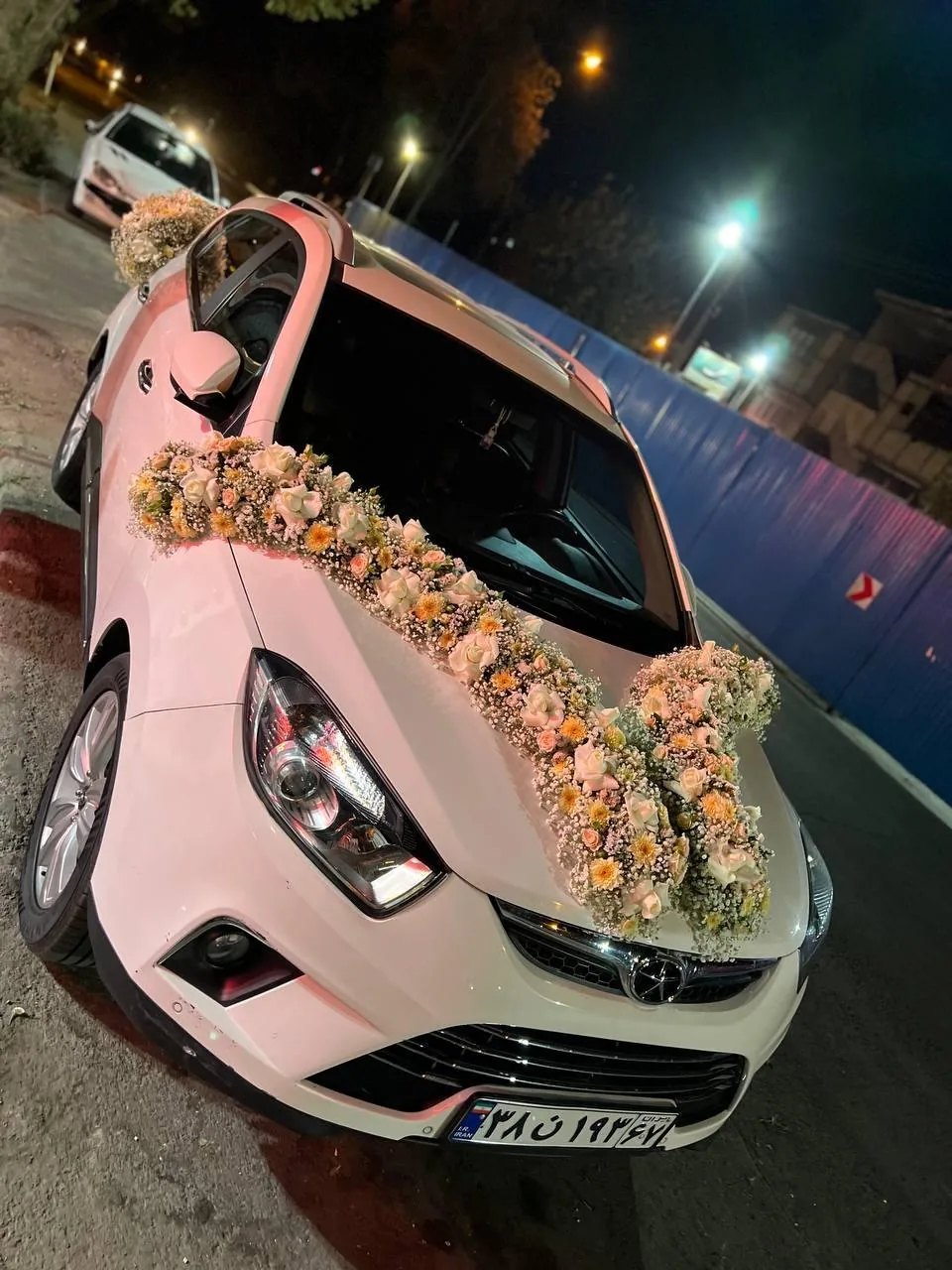 گل فروشی شهر شب - تصویر 3