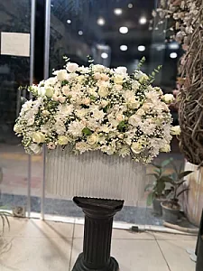 گل آریسا