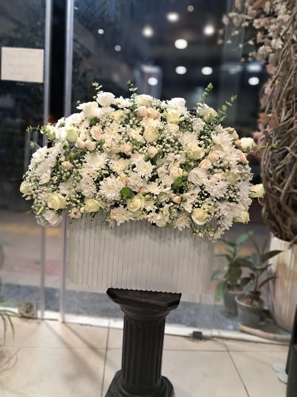 گل آریسا
