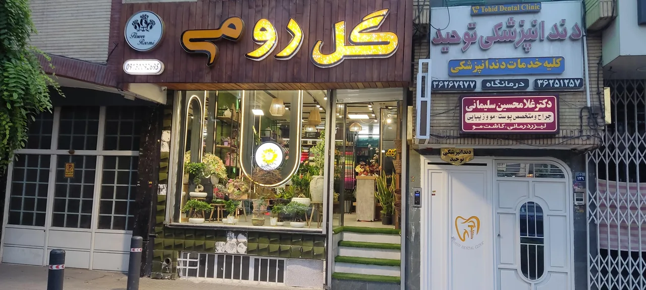 گل رومی - تصویر 4