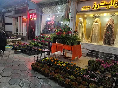 گلستان نرگس