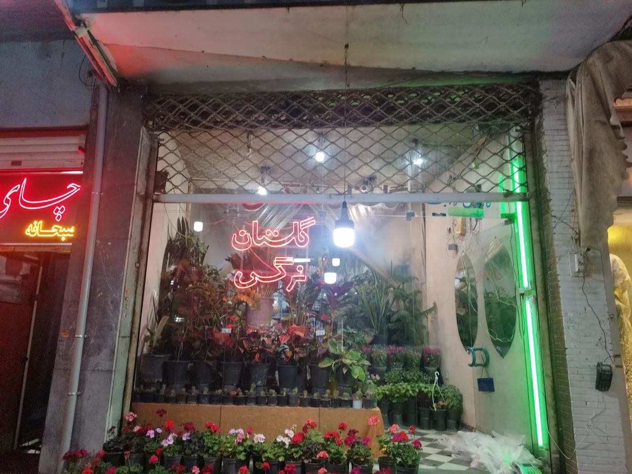 گلستان نرگس - تصویر 3