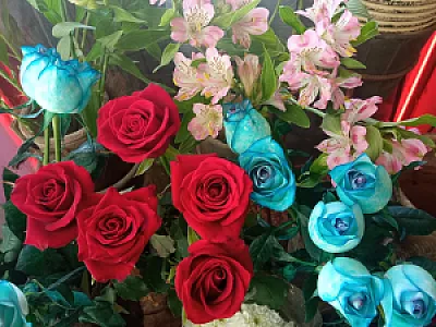 گل نفیس