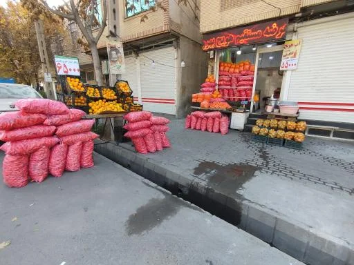 عرضه مستقیم هویج بهروز