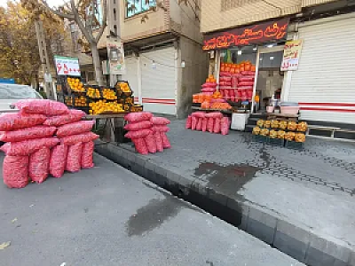 عرضه مستقیم هویج بهروز