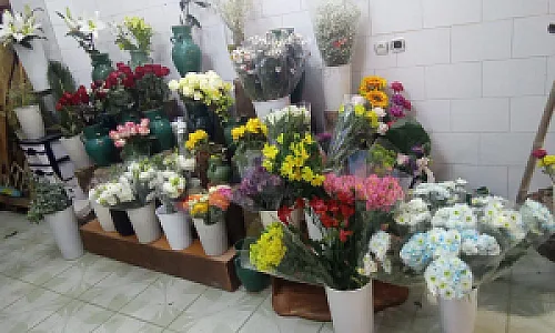 گل آرامیس