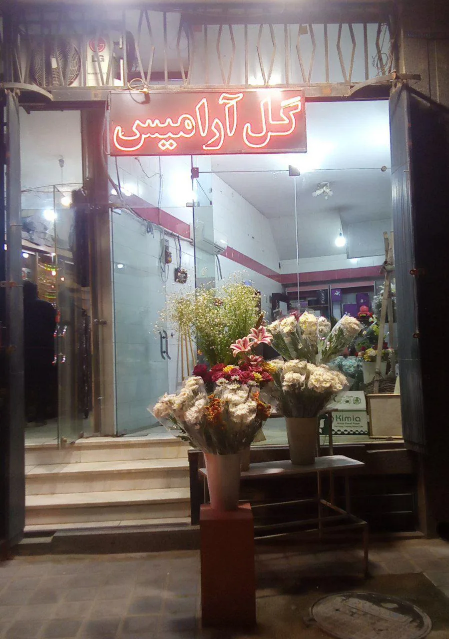 گل آرامیس - تصویر 2