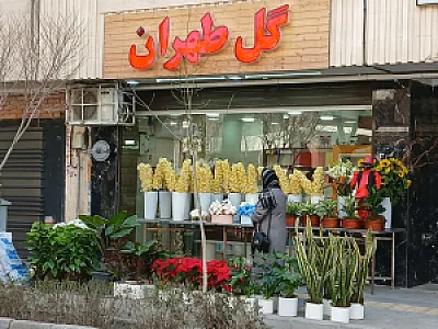 گل طهران