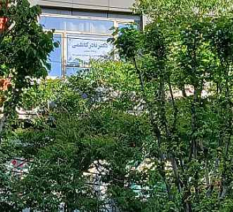 دکتر نادر کاظمی