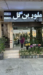 ملورین گل