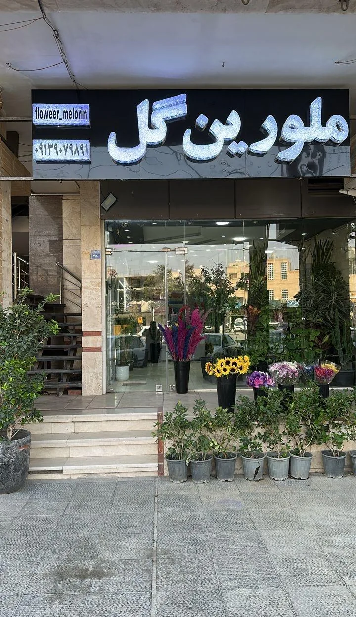 ملورین گل