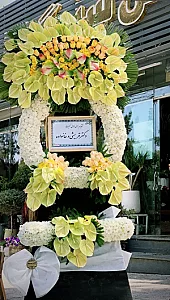 سیتی گل