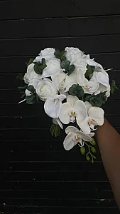 گل پاسارگاد