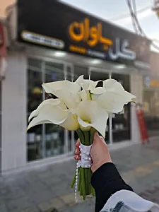 گل فروشی باوان