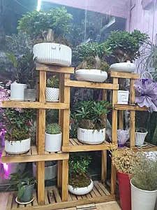 گل فروشی (کلبه گل ملودی)