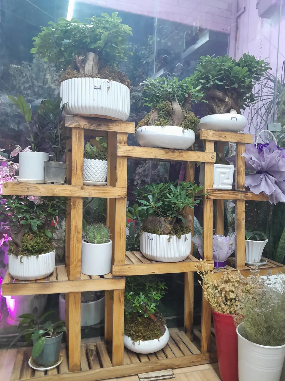گل فروشی (کلبه گل ملودی)