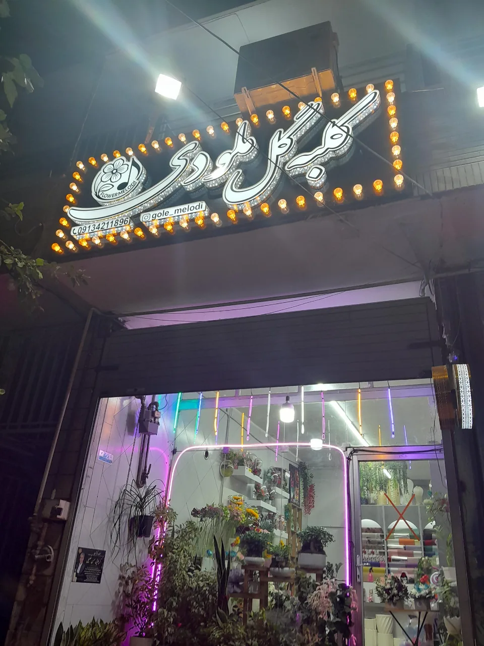 گل فروشی (کلبه گل ملودی) - تصویر 3