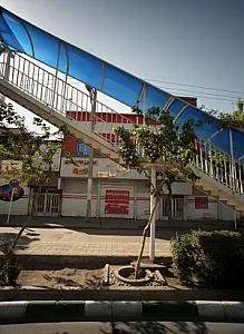 موبایل امیر