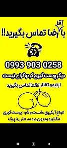 سبزی آماده صدف