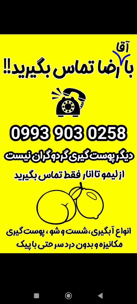 سبزی آماده صدف