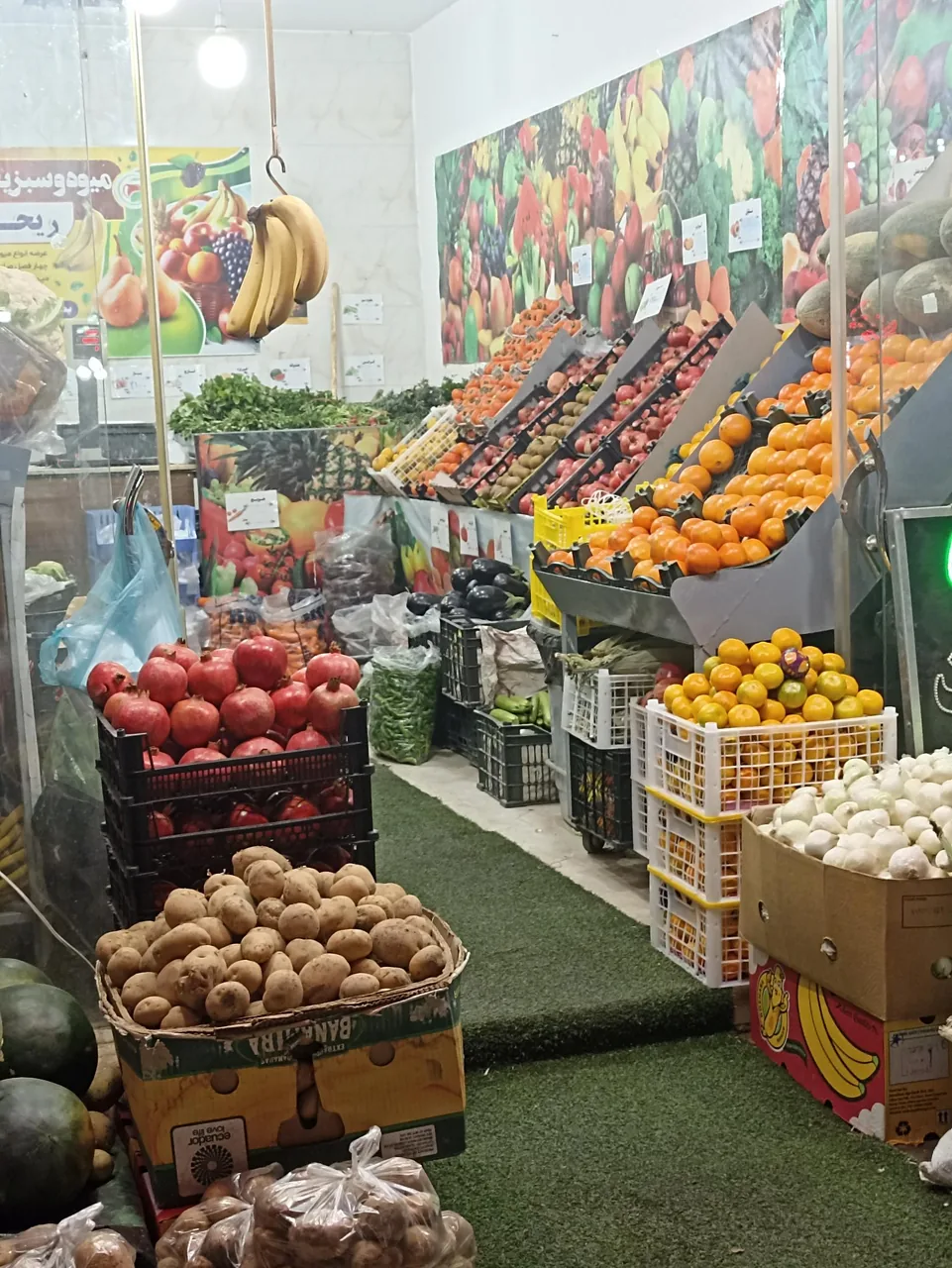 میوه وسبزیجات ریحان - تصویر 2