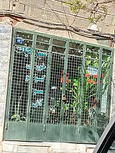 میوه فروشی نسیم