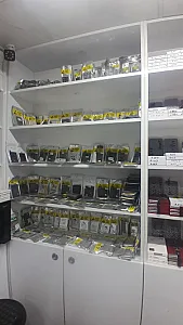 شهر گلس